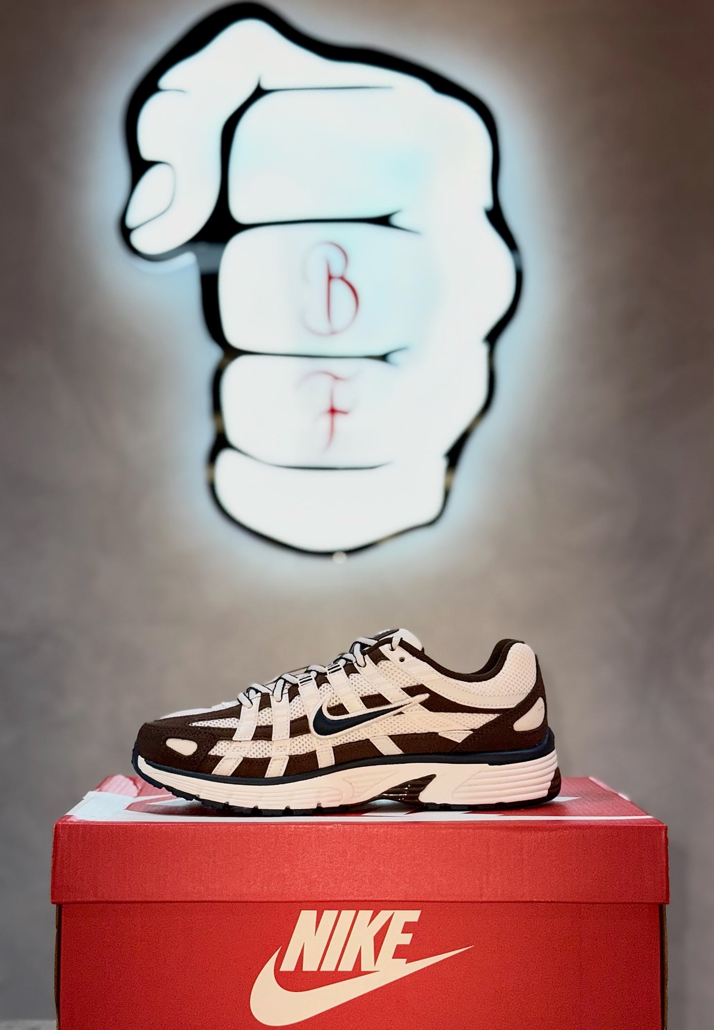 Nike P-6000